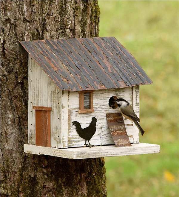 Cumberland Chicken Coop Birdhouse
